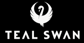 Code promo Teal Swan